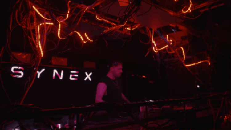 Synex - fiesta